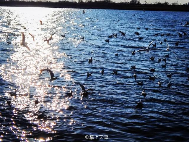 天津海边旅游景点排行榜，天津塘沽旅游景点大全（天津7处小众看海点，景色绝了）