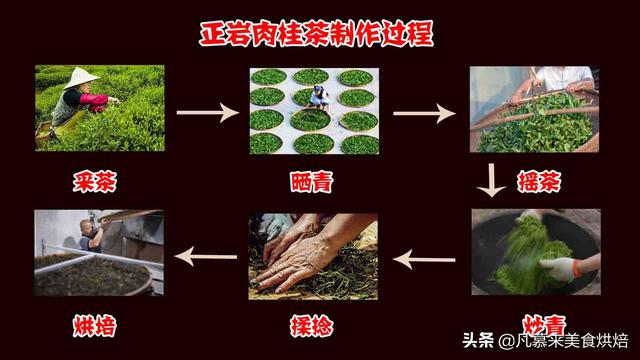 正岩肉桂是什么茶，正岩果香肉桂茶是什么茶（日常饮用要注意这4项）