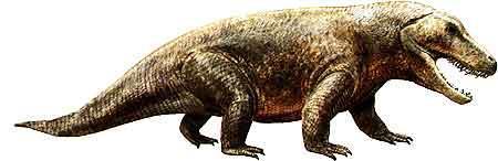 引鳄（尹恩惠），第一批食肉恐龙的祖先是谁（引鳄科）