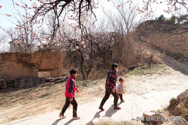 杏花村在山西的哪里，山西有没有杏花村（山西运城发现1个杏花村）