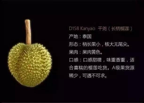 榴莲死包是什么意思，榴莲死包是什么样的（金枕、猫山王、甲仑、干尧、青尼）