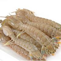 虾有多少品种，淡水虾有哪些品种（虾类双11购买攻略富山虾）