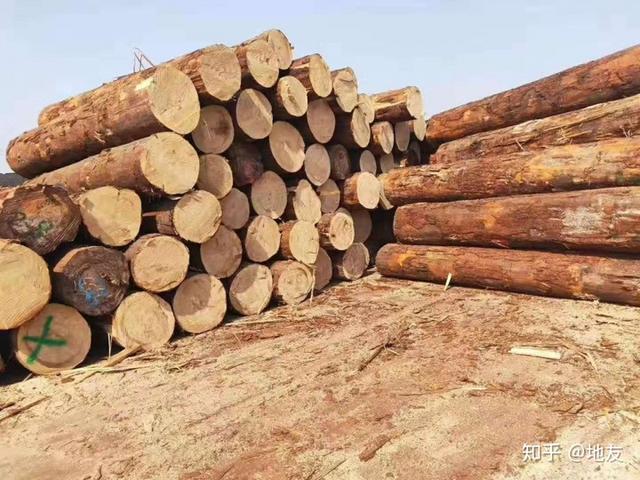 木材干燥怎样处理，木材的干燥方法哪个好