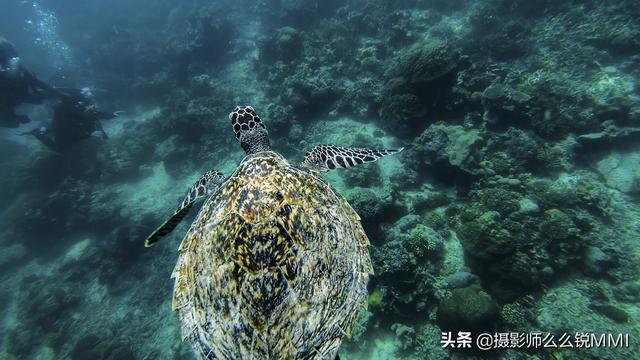 梦幻天堂游戏手机版下载，梦幻天堂经营手游官网最新版下载安装安卓版appv45.0.2（我才明白什么叫做梦幻天堂）