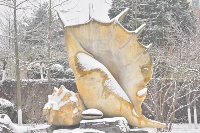 辽东学院宿舍条件怎么样，辽东学院宿舍几人间（辽宁省普通高等院校）