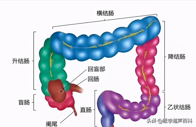 急性阑尾炎最重要的体征是，急性阑尾炎最重要的症状和体征是什么（具体症状及治疗有哪些）