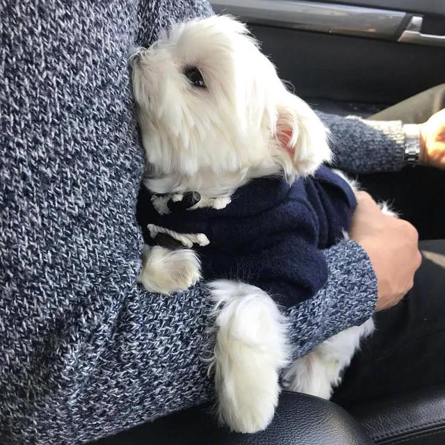 第五头像丨我可以抱抱你吗，抱抱你的头像微信（可爱头像，天好冷）