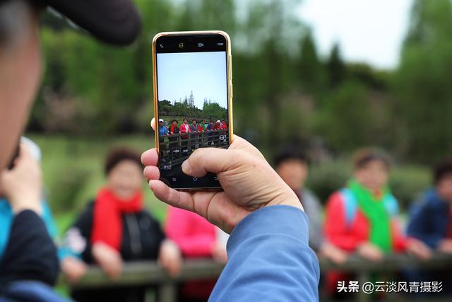 最简单能令人放松心情的图片 偶尔防空一下自己，让人心情放松的图片（醉倒在那片春色里）