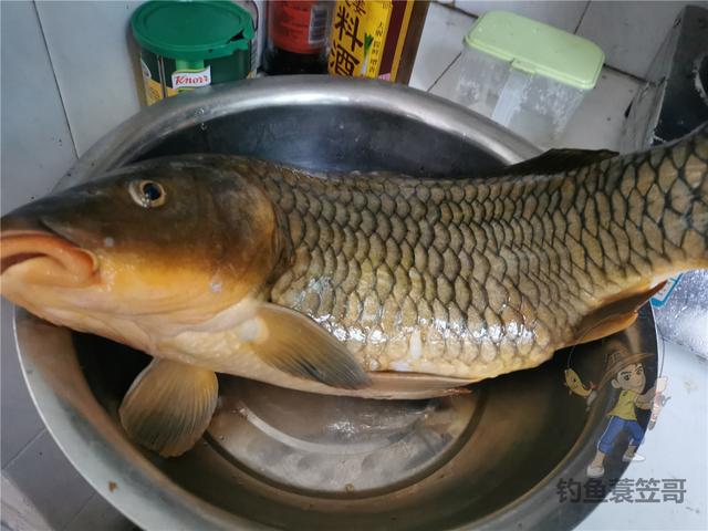 鱼竿多长比较合适，新手钓鱼多长的鱼竿合适（准确找到鱼儿活跃水深）