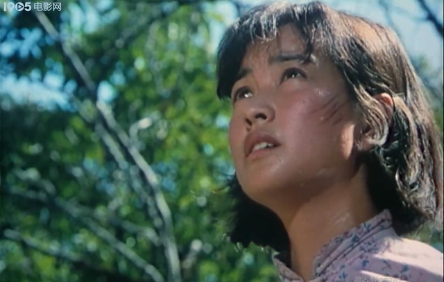 童年第三章主要内容，童年第三章主要内容概括10字（《小花》原著《桐柏英雄》的故事梗概）