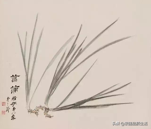 蒲可以怎么组词，蒲字怎么组词（一株蒲，一室香）