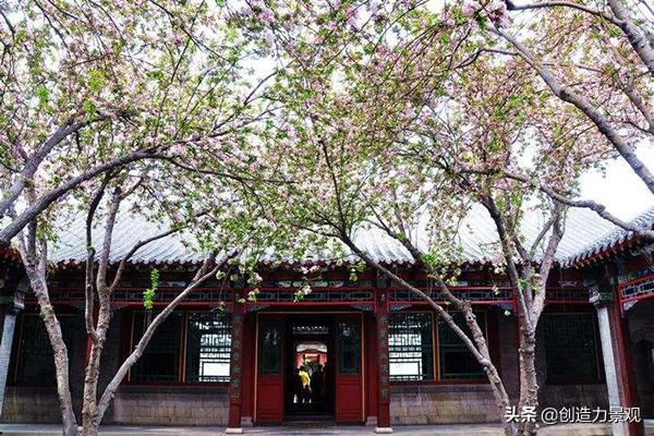 别墅庭院最佳树木，富人的别墅庭院一般栽种什么植物