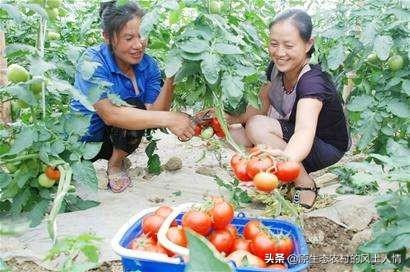 农村留守妇女晚上是靠什么打发时间的，农村留守妇女做什么工作好（留守妇女在农村除了种地）