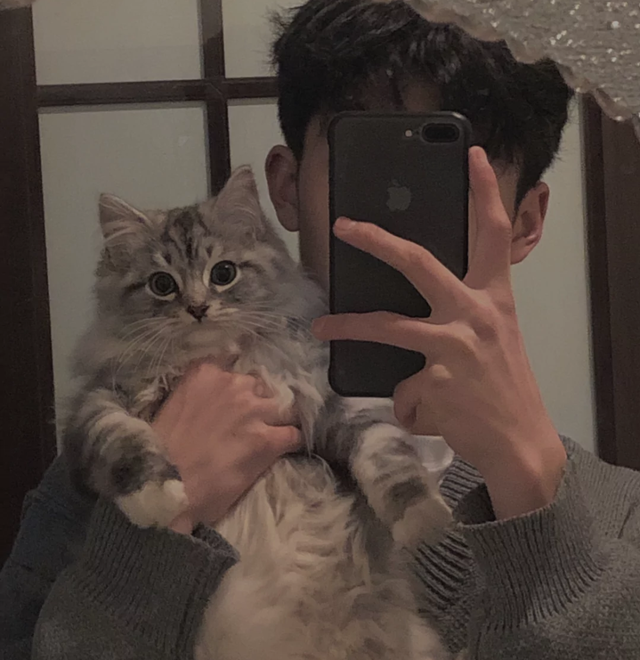 龙应该藏在云里你应该藏在心里，龙应该藏在云里你应该藏在心里表达了什么，微信头像（系列：龙应该藏在云里）