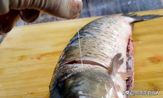 鱼腥线在哪，鱼腥线在哪个位置长着（这4处才是腥味源）