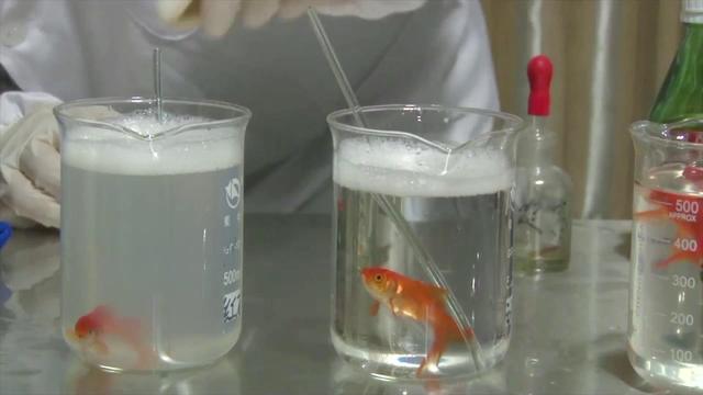 厨房里去油渍巧用小苏打，去油渍小妙招厨房小苏打（1瓶能洗11400个碗）