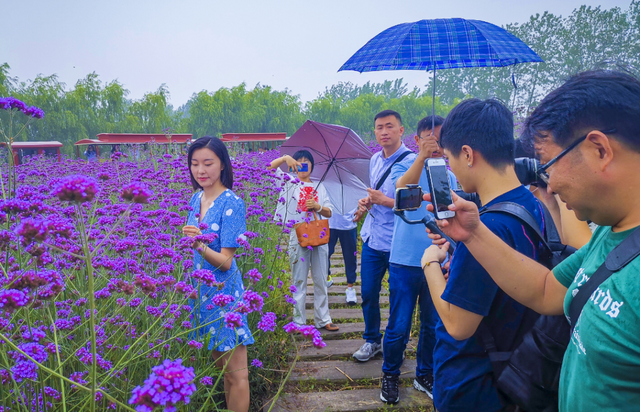 高邮湖有什么好吃的，高邮有什么好吃的饭店（探寻汪味：传统美食）
