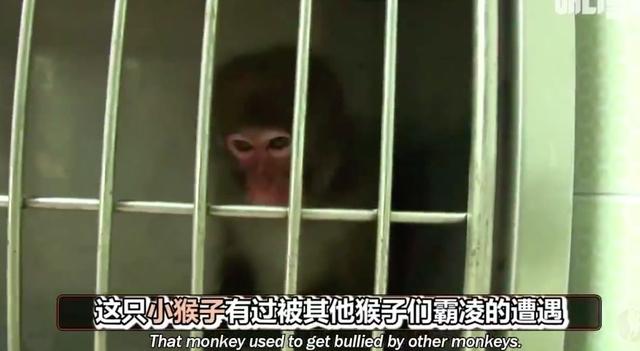 温馨的小故事，温馨的小故事哄男朋友（4个生活中暖心的故事）