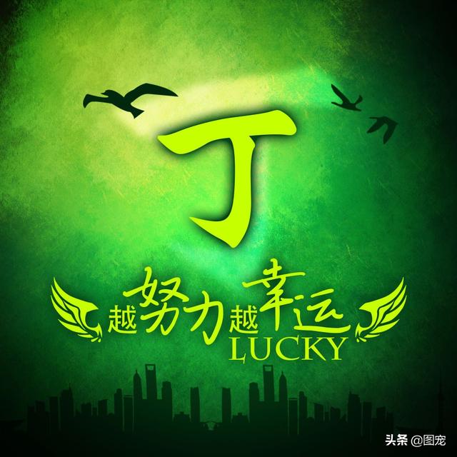 多幸运在最美的年纪遇见你，多幸运，在最美的年纪遇见你（一款以绿色为背景的微信头像悄悄送给你）