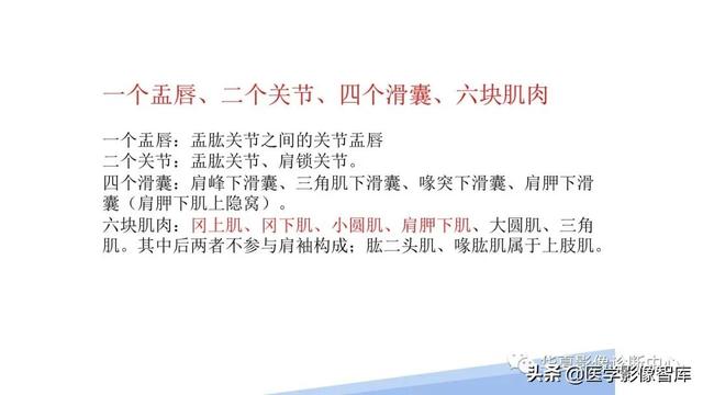 肩关节骨标志解剖图，全面掌握肩关节解剖