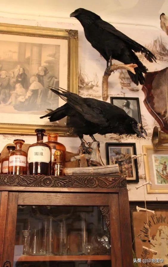 手不释卷的动物，手足之情的动物是什么生肖（世传王安石是獾转世投胎）