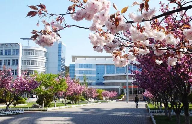 青岛酒店管理职业技术学院官网，2021青岛酒店管理职业技术学院地址在哪里（青岛酒店管理职业技术学院D011呼叫你）