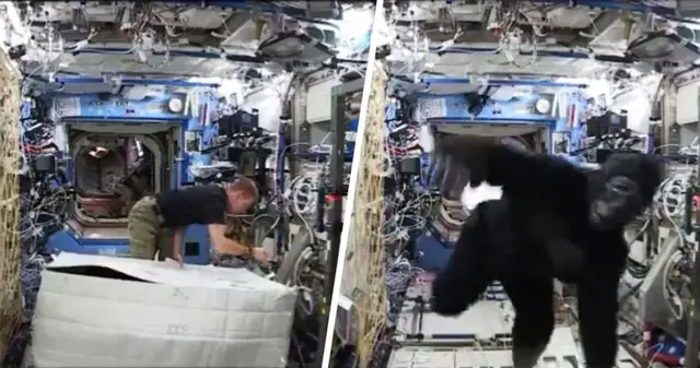 载人航天有几个国家，航天科普知识内容（全世界只有中、美、俄能独立载人航天）