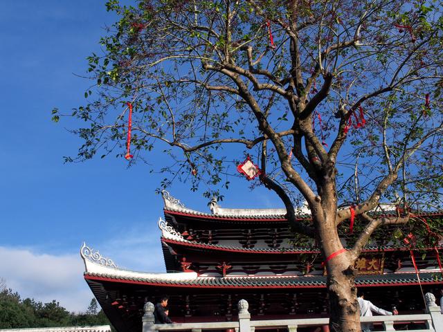 泉州南少林寺有几个，福建有三座少林寺