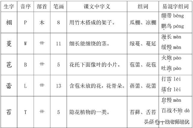 有关棚的组词，棚组词（部编版六年级语文上册）