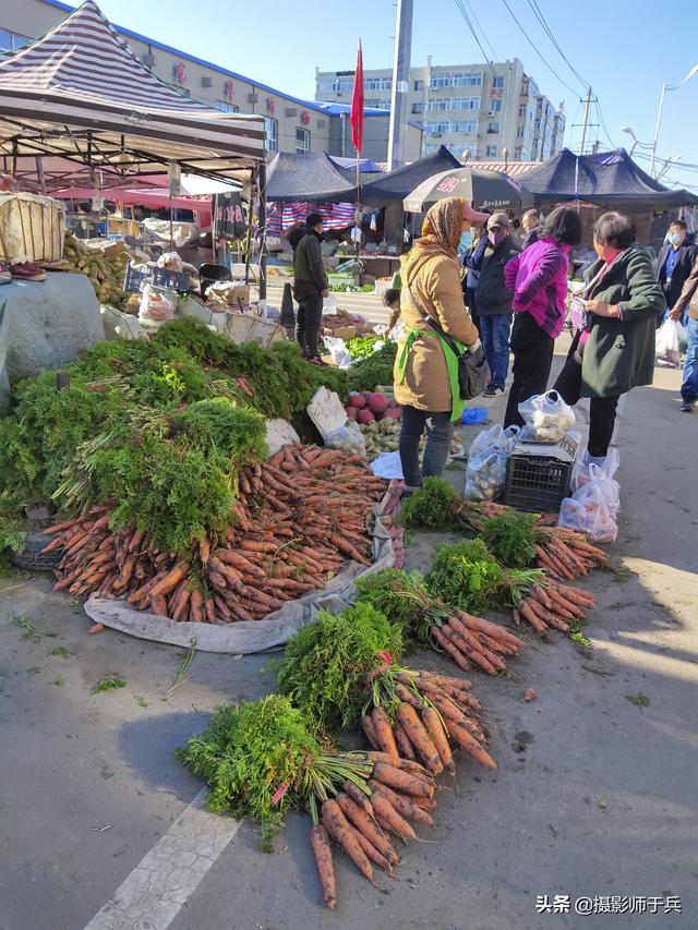 卜留克是什么菜，东北的卜留克学名叫什么（姜不辣等蔬菜名字很魔性）