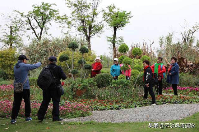 最简单能令人放松心情的图片 偶尔防空一下自己，让人心情放松的图片（醉倒在那片春色里）