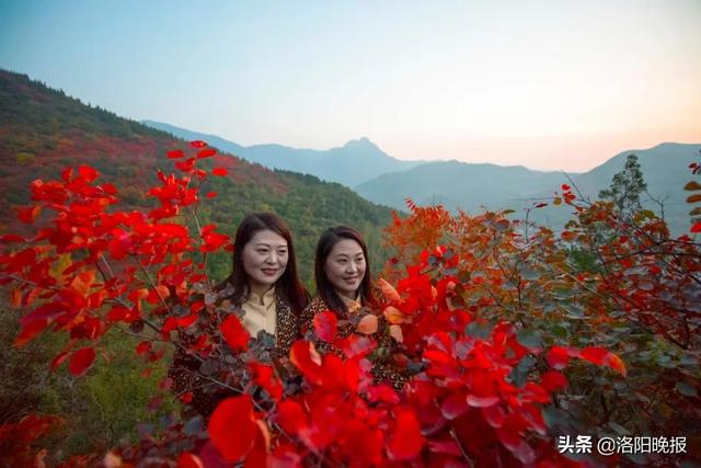 香炉峰海拔多少米，巴岳山海拔多少米（叮咚！来偃师香炉峰看红叶吧）