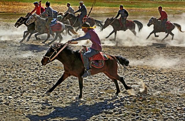 用马字组词有什么，马字组词还有什么（拍马“留序”摄影浅谈）