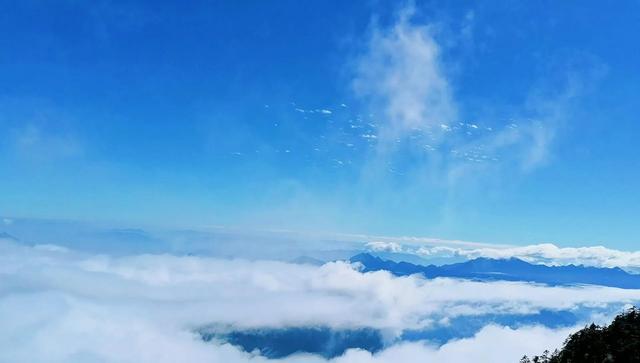 神农架旅游攻略，神农架二日游路线（神农架景区旅游攻略）