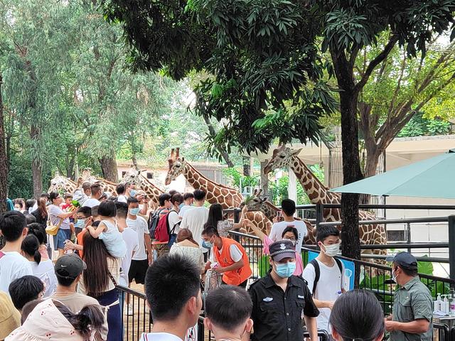 廣州動物園門票多少錢