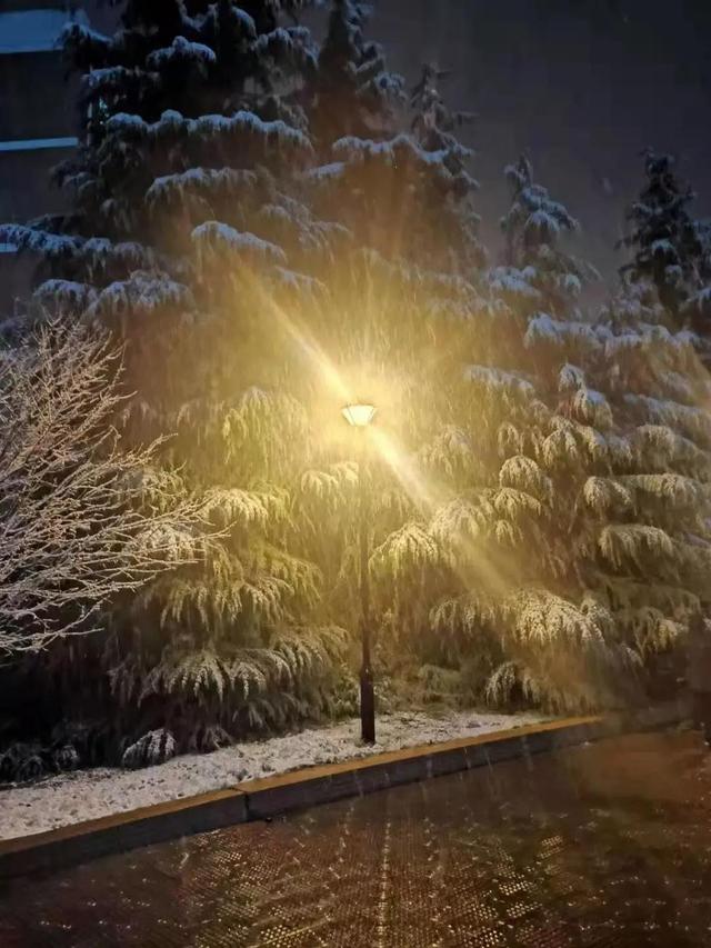 安徽三联学院地址，安徽三联学院怎么样好不好全国排名第几（<三十三>安徽三联学院）