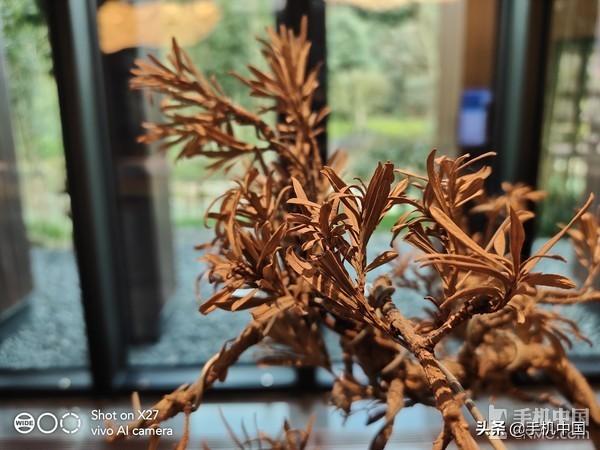 vivox21怎么恢复出厂设置，vivos15怎么恢复出厂设置（X27全面评测：更激进的进化）