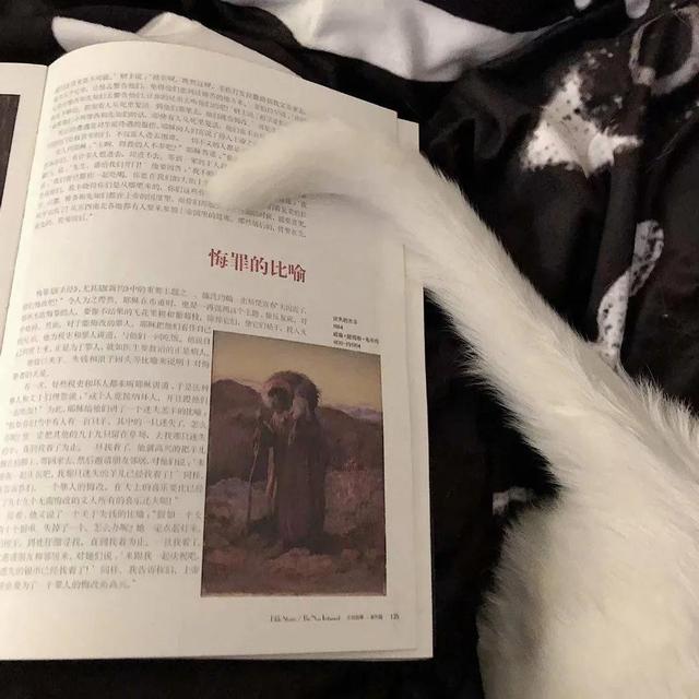 超好看的背景图，超好看的背景图女生（超好看的朋友圈背景图更新）