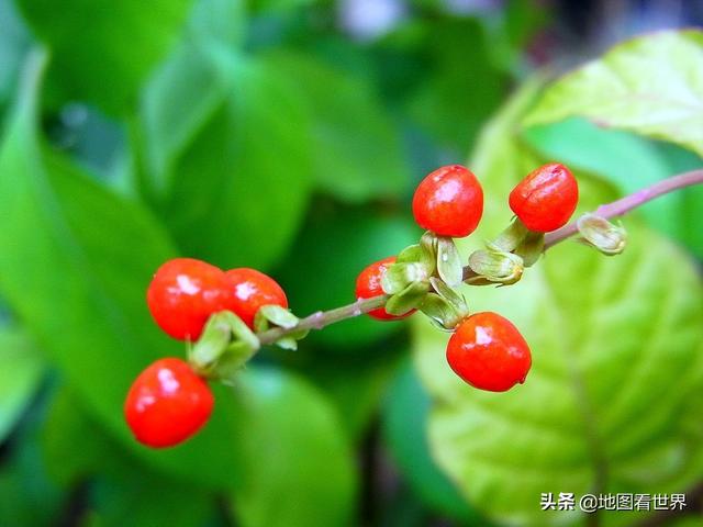 含有三字的成语急，带有三字的成语（带“三”的地名有哪些）