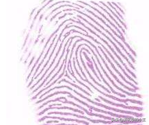 溴水能和什么官能团发生反应，溴水可以和什么官能团反应（高中化学有机物鉴别方法总结）