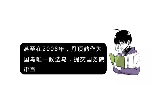 中国的国鸟是什么鸟,中国的国鸟是什么动物(绝大多数的人都不知道) 中国的国鸟是什么鸟,中国的国鸟是什么动物(绝大多数的人都不知道)