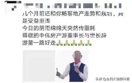 中伟房产（湖南房产公司老总猝死的背后）