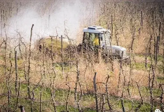 草甘膦钾盐与草甘膦铵盐有什么区别，草甘膦钾盐和草甘膦铵盐可以混合在一起使用吗（以及胺盐、钾盐和异丙胺盐是怎么回事）