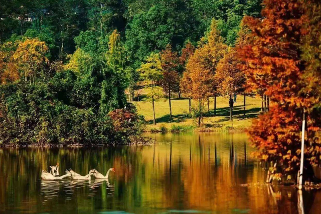 赞美秋天的诗句，赞美秋天景色的古诗（十首最美的秋日诗词）