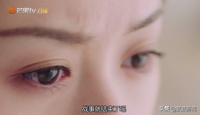 琉璃中璇玑和昊辰的关系，琉璃昊辰为什么不让璇玑记起（为什么昊辰能“遗忘”曾经暴行）