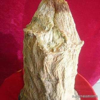 太岁在什么方位，2013年太岁在什么方位（来看看全国所发现的部份“太岁”长得啥样）