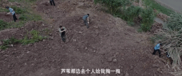 口袋妖怪火红金手指，口袋妖怪火红作弊码怎么用（100多万人打出8分+）