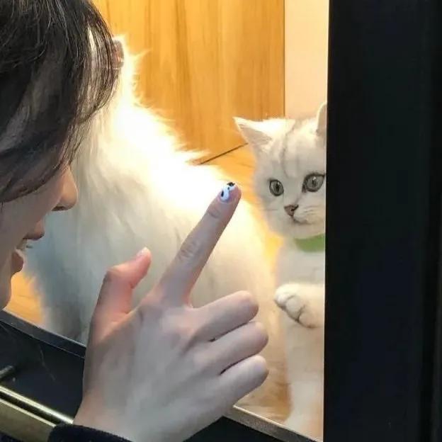 男朋友不是人系列情头一对，男朋友不是人系列了/情头微信（情侣头像，男朋友不是人系列）