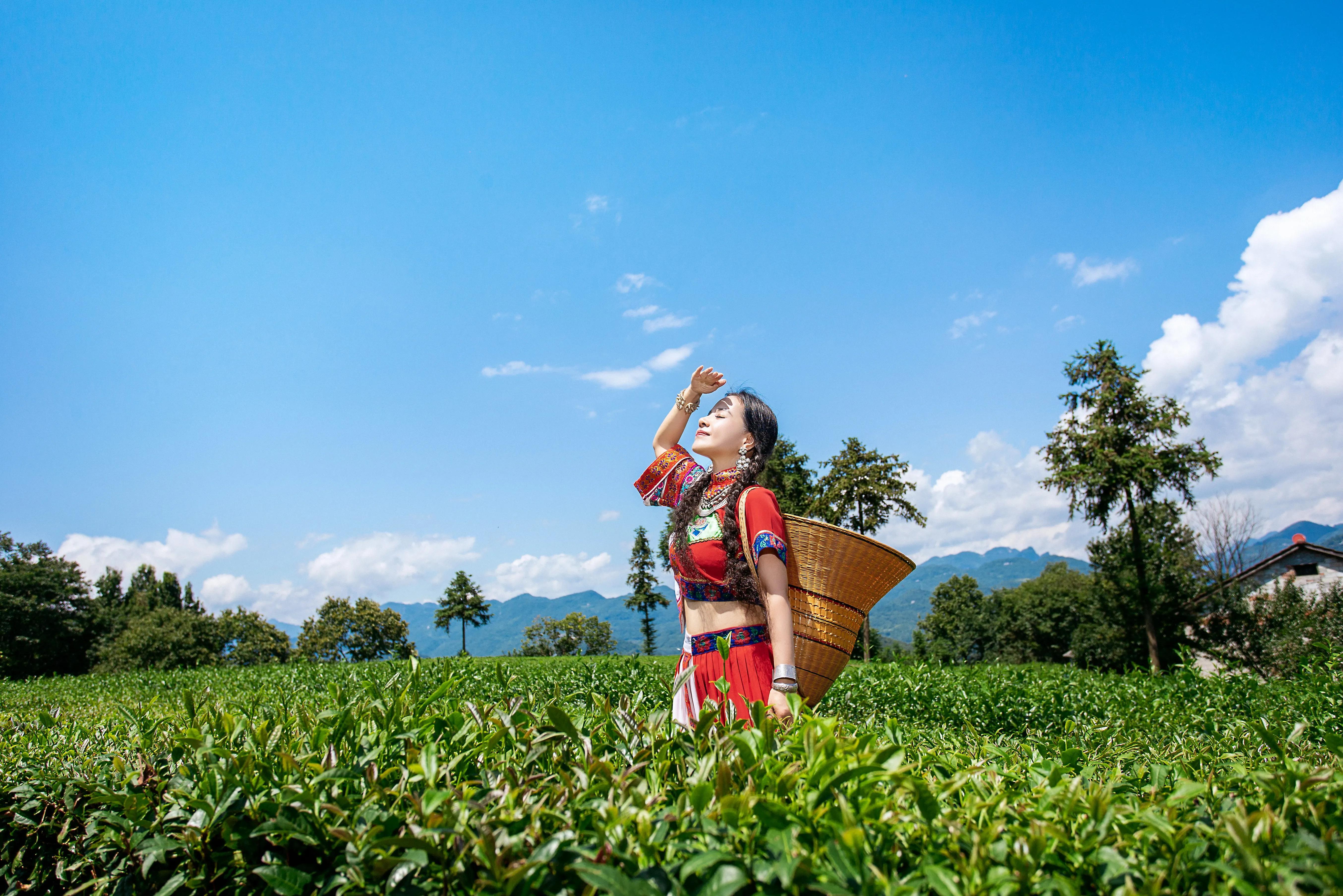 土家族歌曲(土家幺妹最好听的歌) - 贝贝号