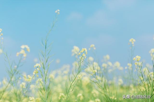 庾澄庆的<静静的>全部歌词，庾澄庆的儿子和女儿（曾是惊鸿照影来......）